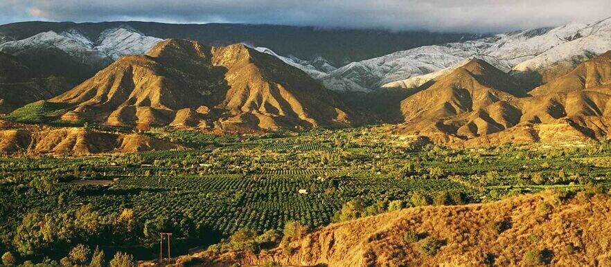 Ojai